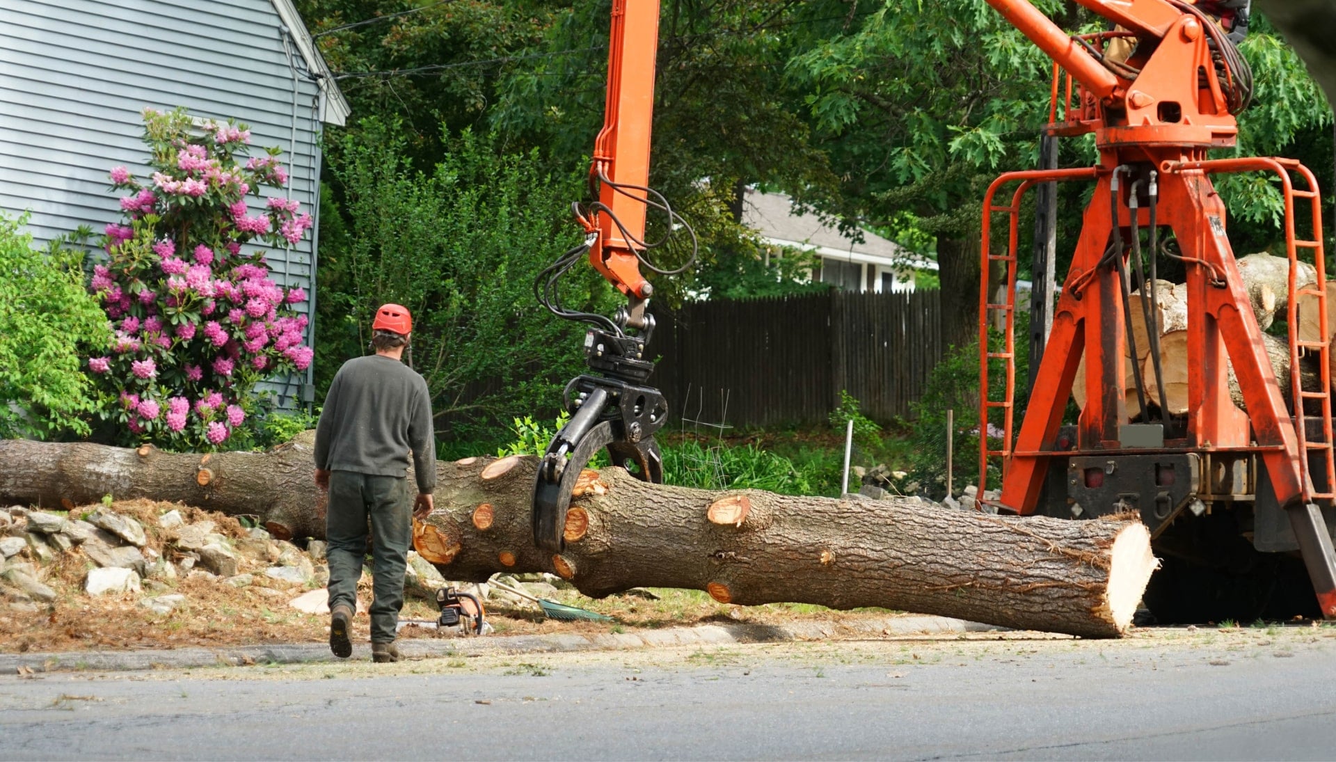 A tree removal service picking up tree log in San Jose, California
