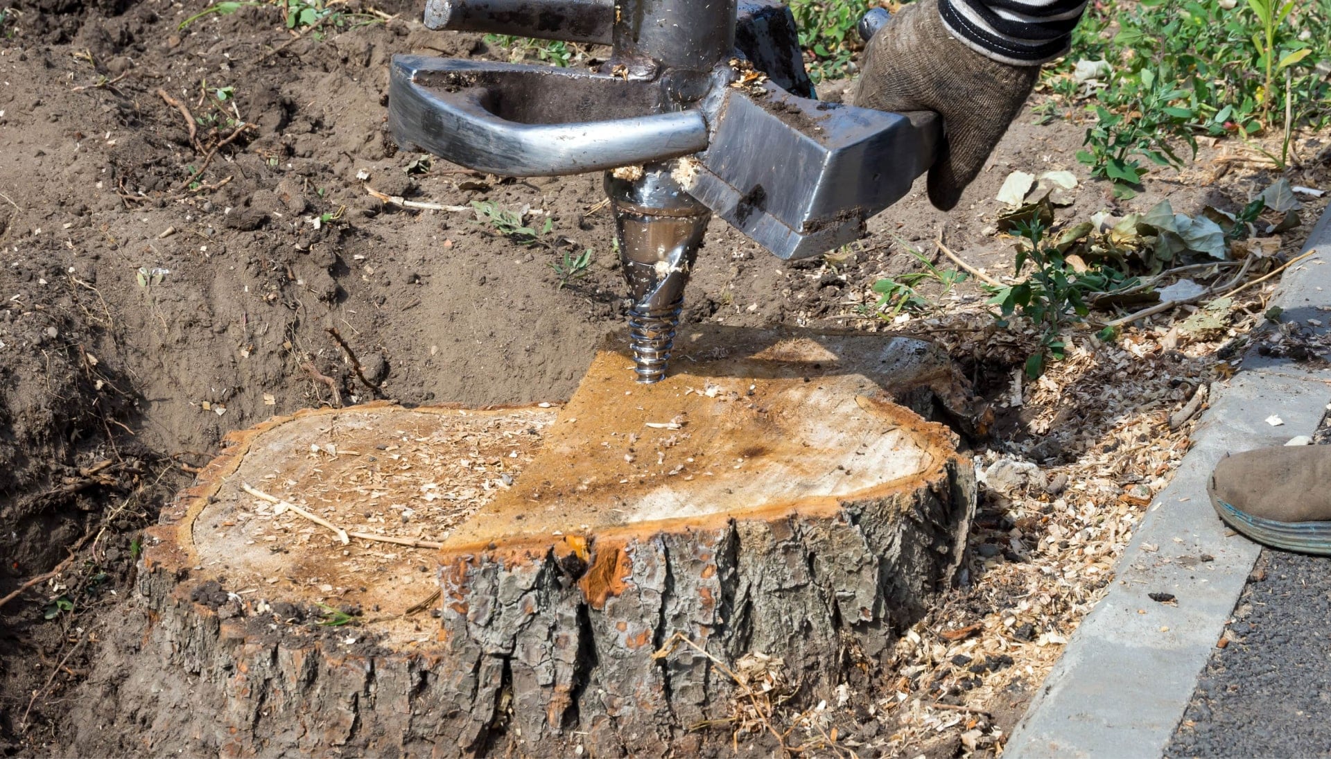 A tree stump removal expert almost finished in San Jose, California